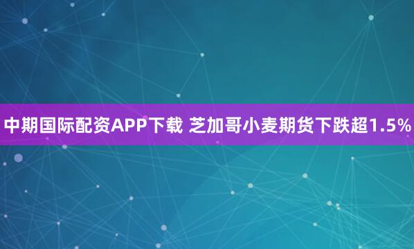 中期国际配资APP下载 芝加哥小麦期货下跌超1.5%