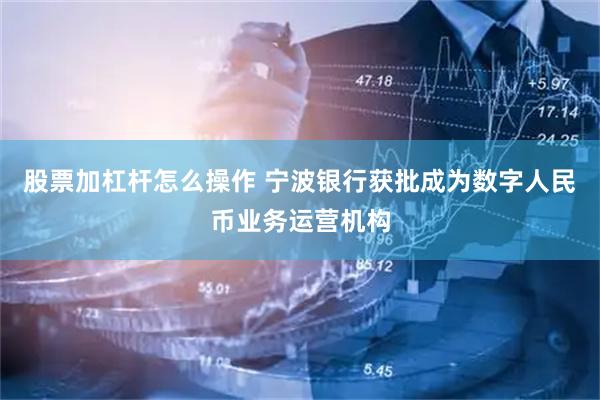 股票加杠杆怎么操作 宁波银行获批成为数字人民币业务运营机构